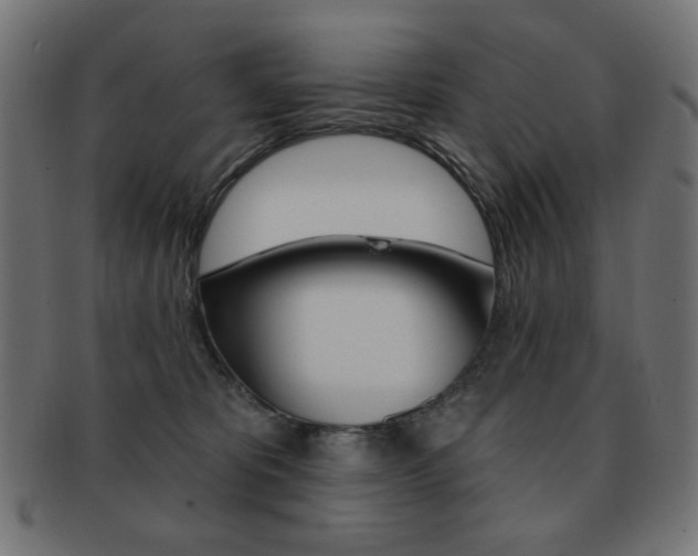 X0000092010325200709061314