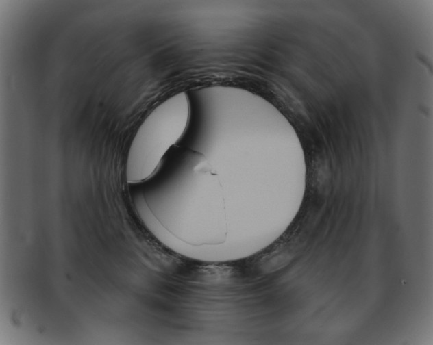 X0000092010328200709061314