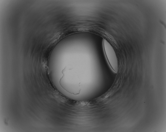 X0000092010329200709061314