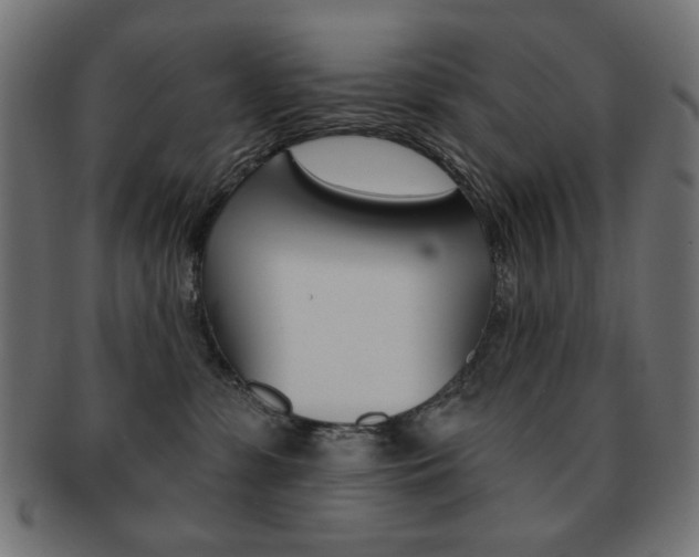 X0000092010331200709061314