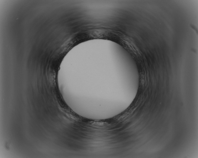 X0000092010332200709061314