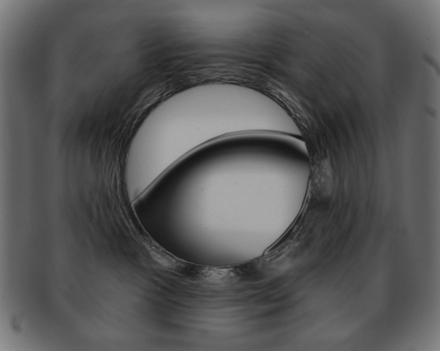 X0000092010333200709061314