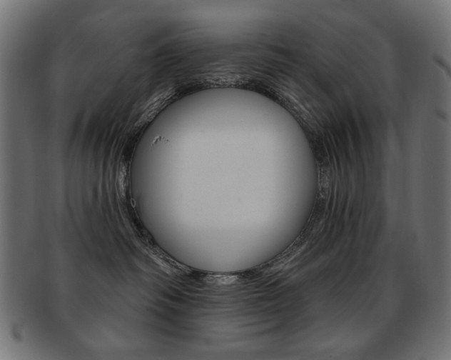 X0000092010334200709061314