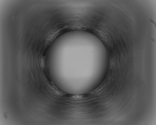 X0000092010335200709061314