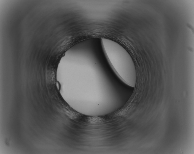 X0000092010336200709061314
