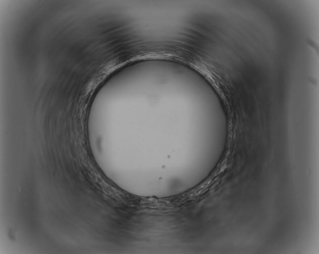 X0000092010337200709061313