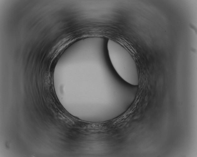 X0000092010338200709061313