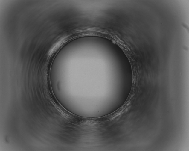 X0000092010341200709061313