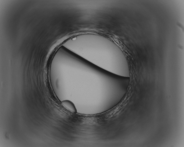 X0000092010342200709061313