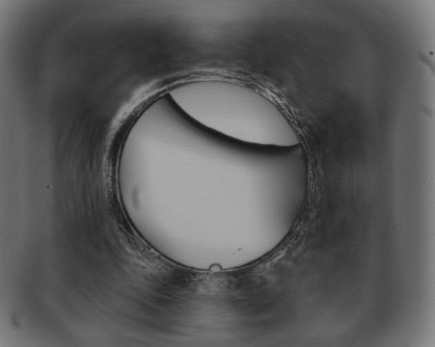 X0000092010343200709061313