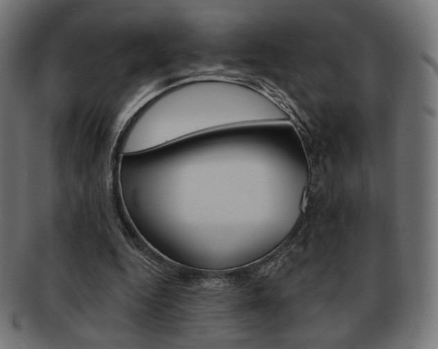X0000092010344200709061313