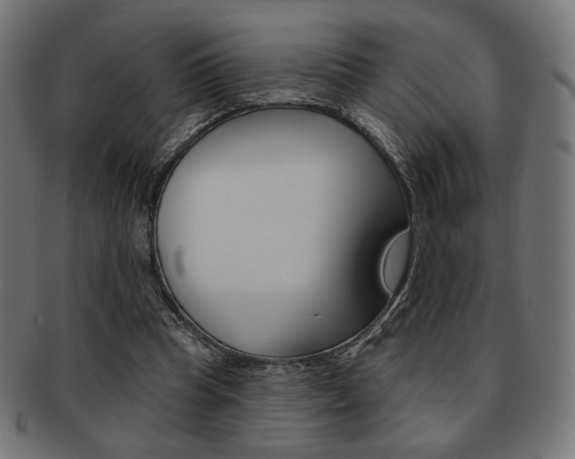 X0000092010345200709061314