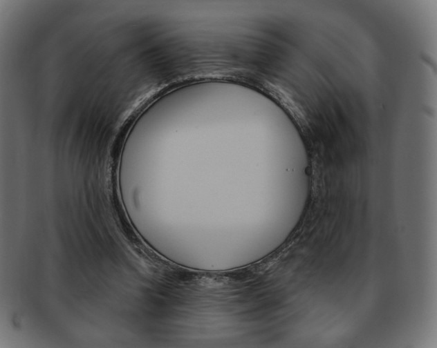 X0000092010346200709061314
