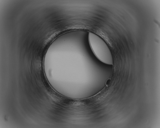 X0000092010348200709061314