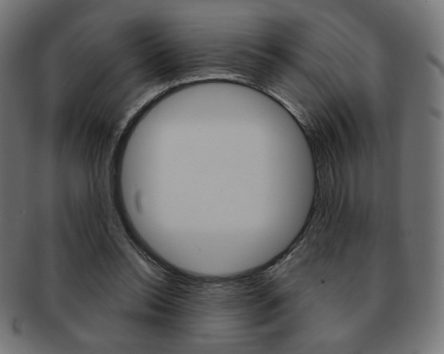 X0000092010350200709061314
