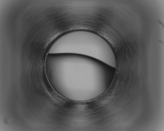 X0000092010352200709061314