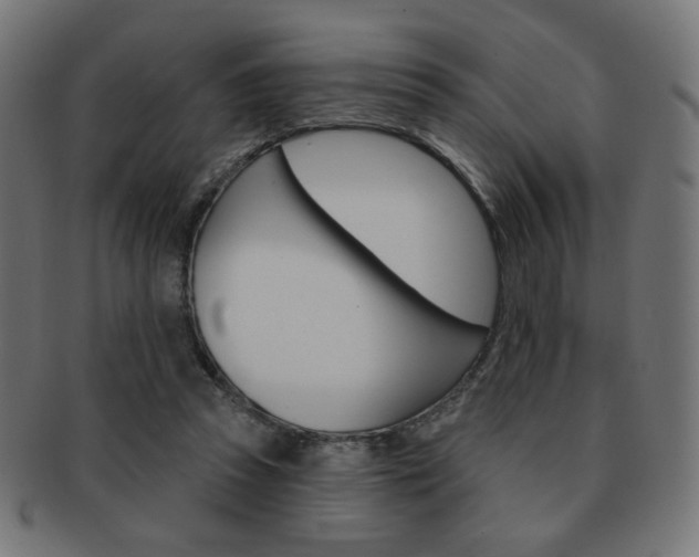 X0000092010353200709061314