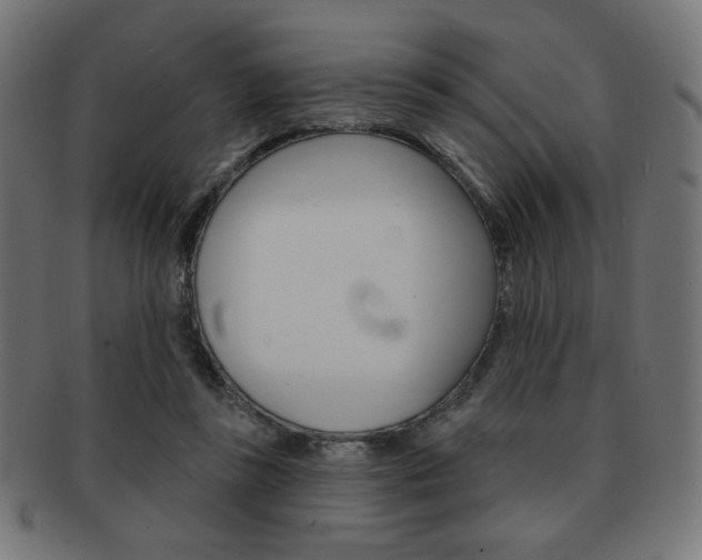 X0000092010355200709061314