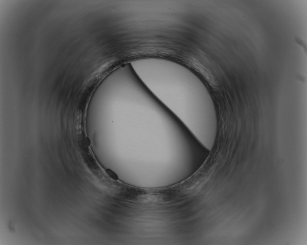 X0000092010356200709061314