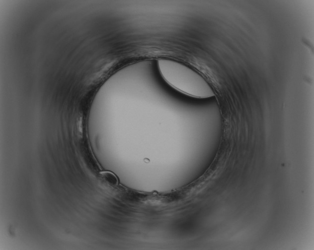 X0000092010358200709061314