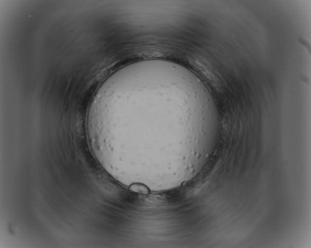 X0000092010359200709061314