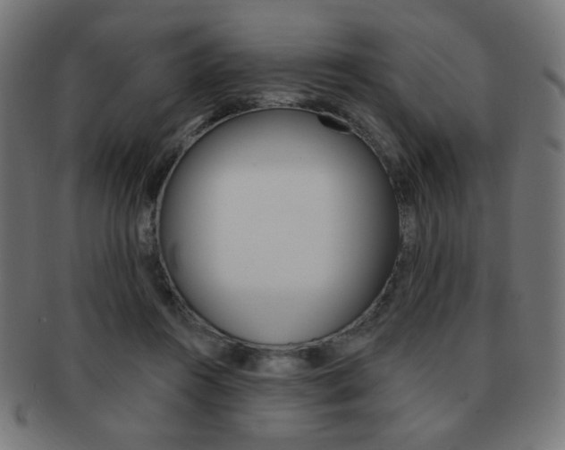 X0000092010360200709061314