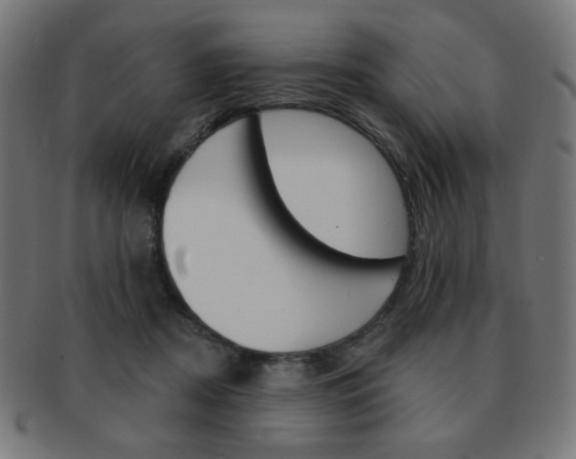 X0000092010362200709061314