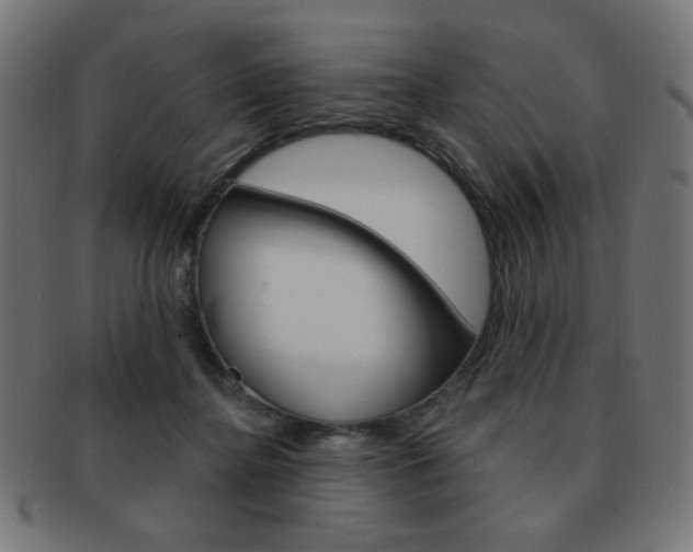 X0000092010364200709061314