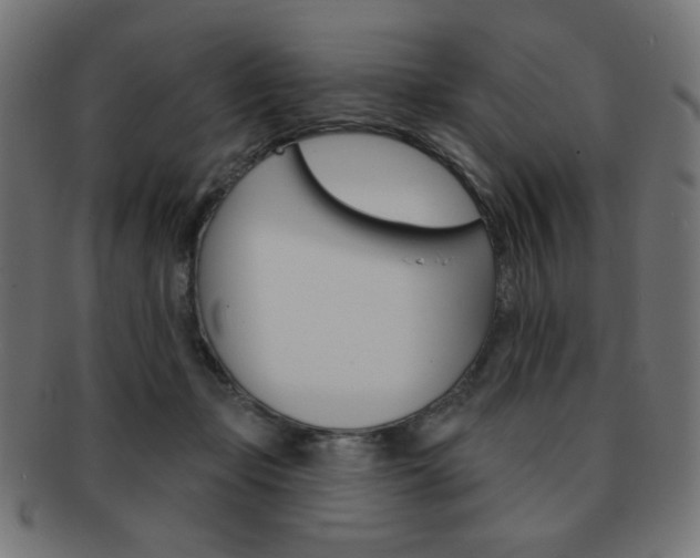 X0000092010365200709061314