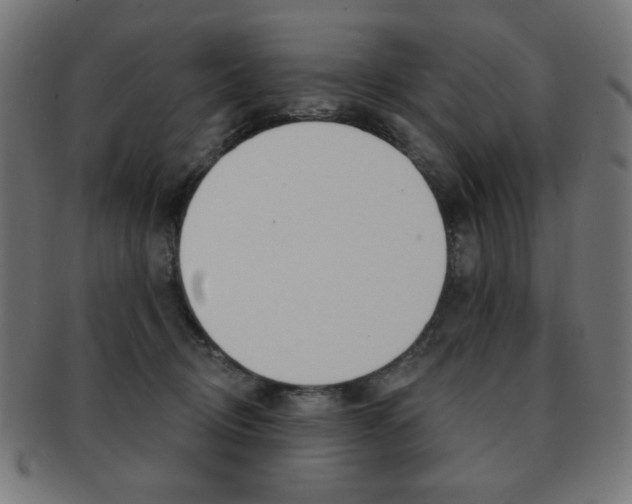 X0000092010370200709061314