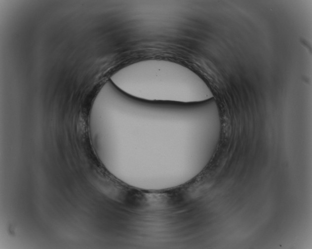 X0000092010371200709061314