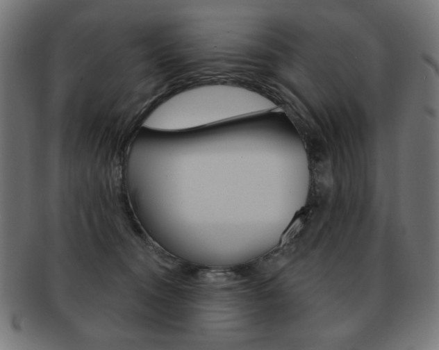 X0000092010372200709061314