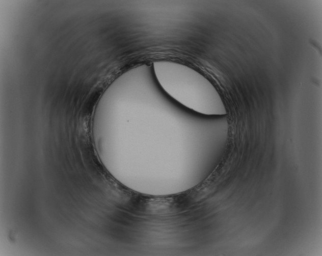 X0000092010373200709061314