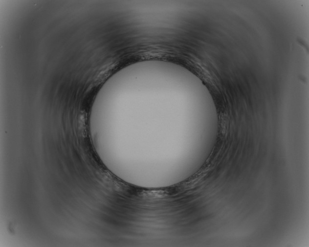 X0000092010378200709061314