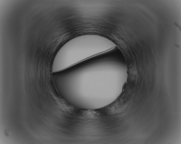X0000092010379200709061314