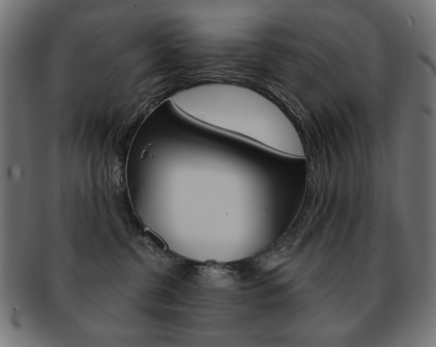 X0000092010380200709061314