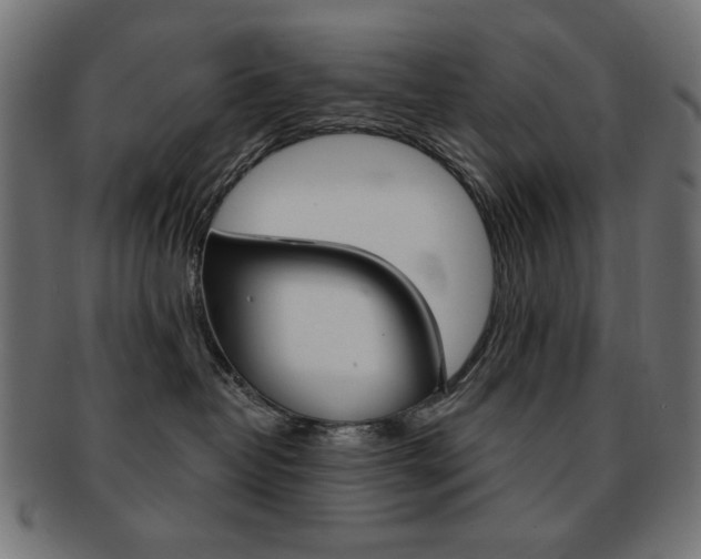 X0000092010382200709061314