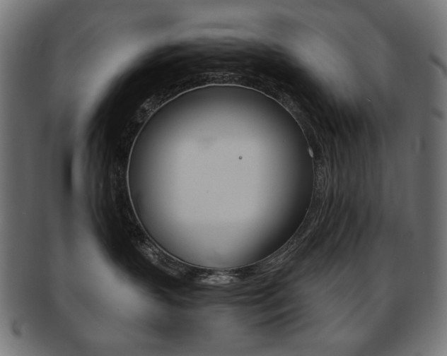 X0000092010383200709061314