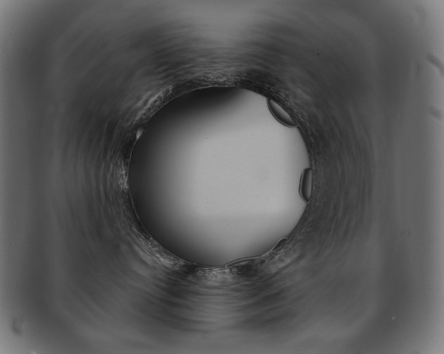 X0000092010384200709061314