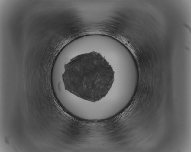 X0000092010385200709061313
