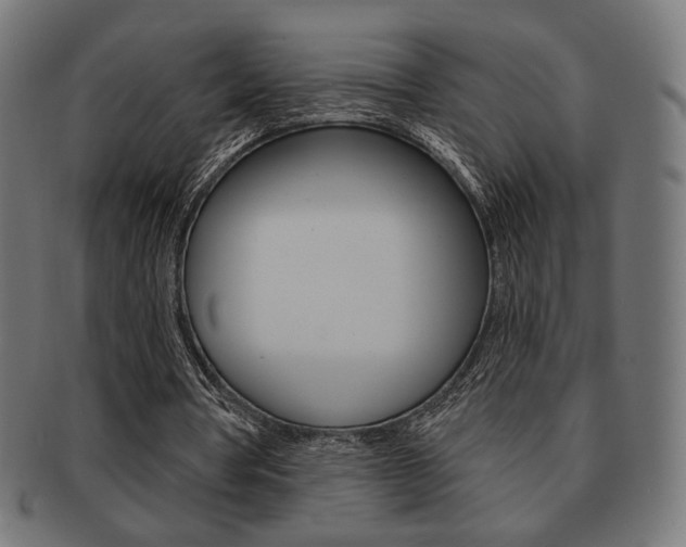 X0000092010386200709061313