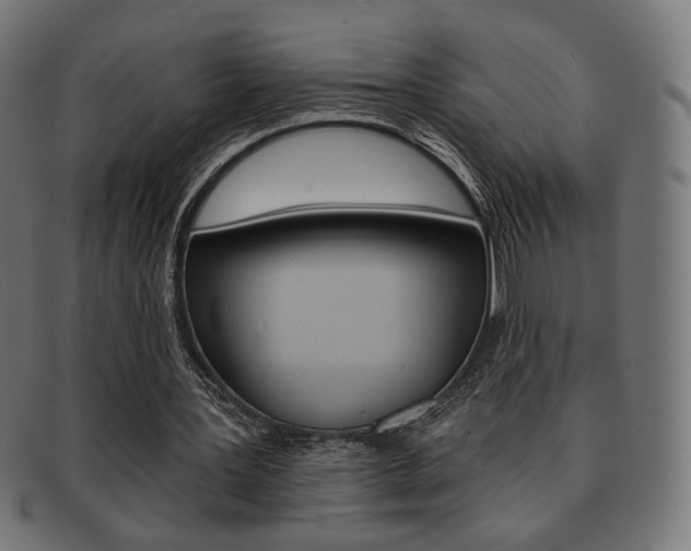 X0000092010387200709061313