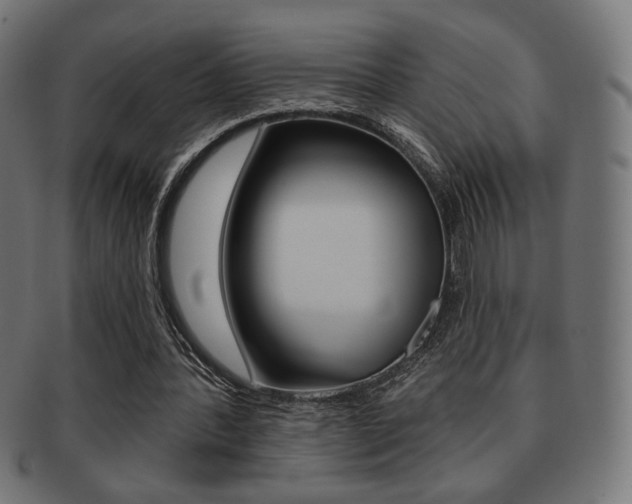 X0000092010388200709061313