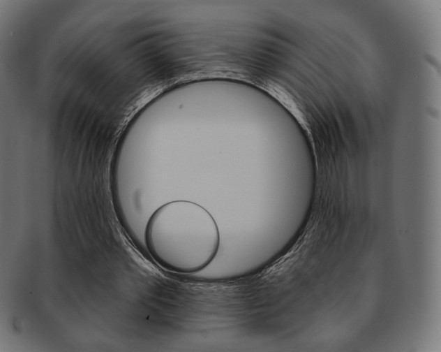 X0000092010389200709061313