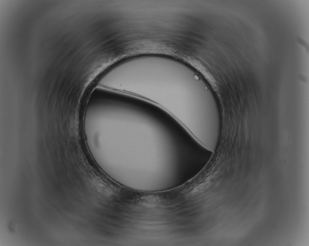 X0000092010391200709061313