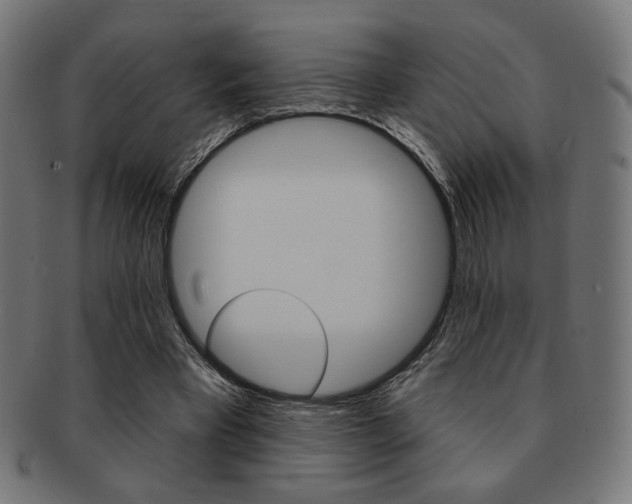 X0000092010393200709061313