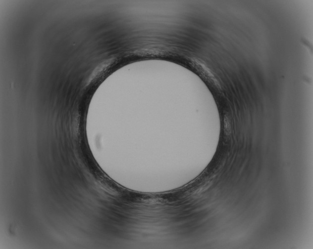 X0000092010396200709061313