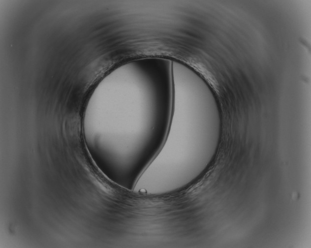 X0000092010397200709061313