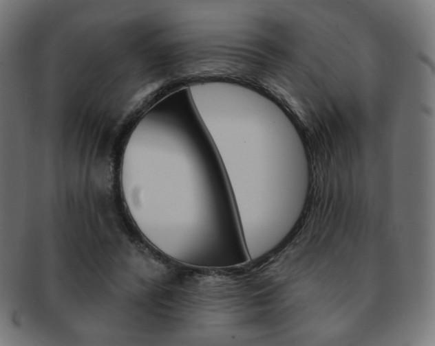 X0000092010400200709061313