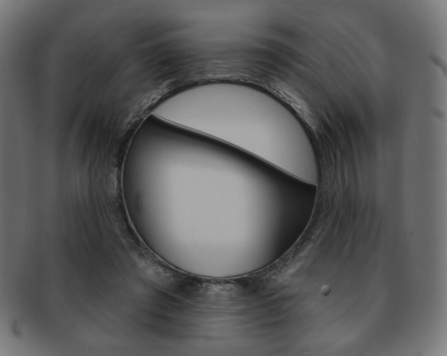 X0000092010401200709061313